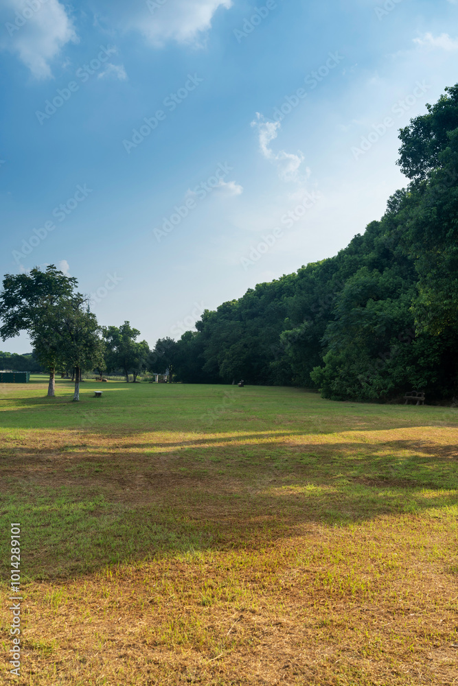 Obraz premium Beautiful panorama of green city park