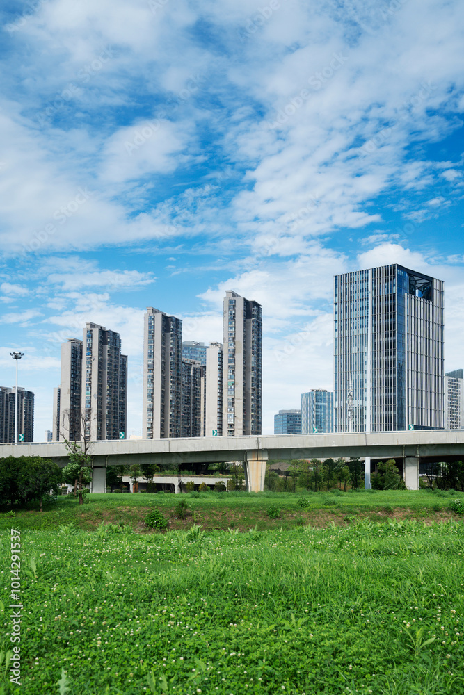 city park with modern building background in shanghai city park with modern building background in shanghai