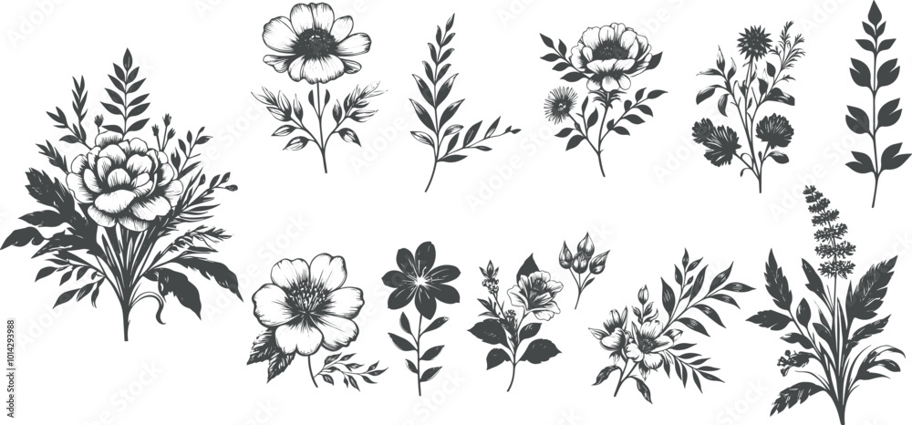 A collection of hand-drawn botanical illustrations featuring various plants, including a hibiscus flower, sprigs, and delicate blooms, black and white style.