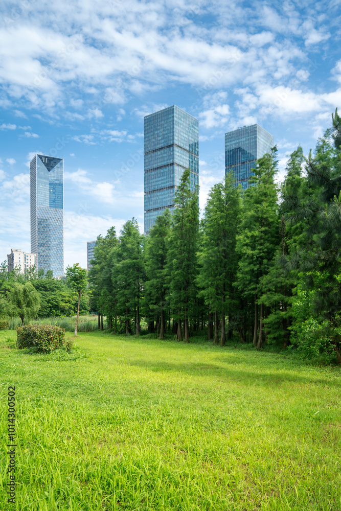Fototapeta premium city park with modern building background in shanghai