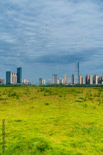 flower field in park at city center and modern city