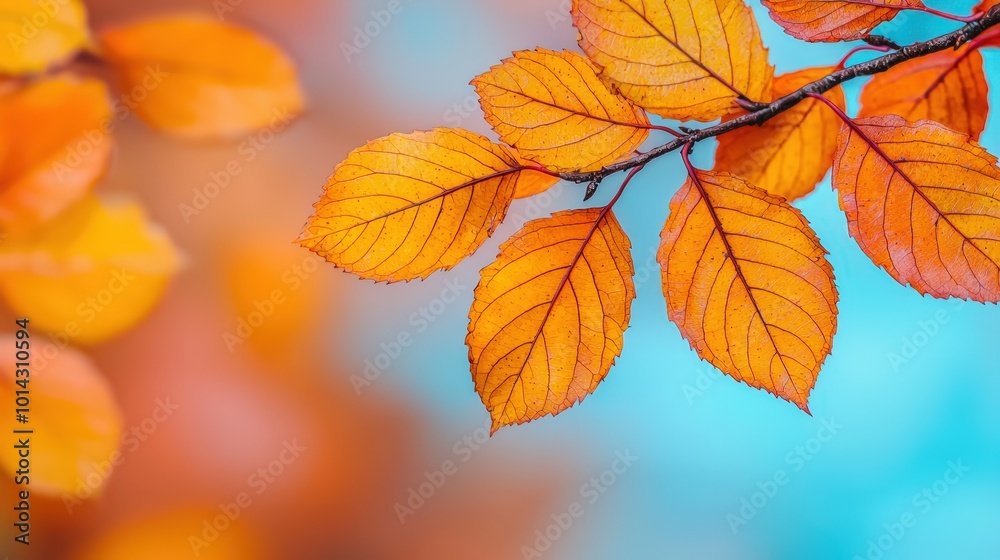 Autumn Leaves Branch with Blurred Background   Fall Foliage  Nature Photography
