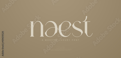 Elegant modern alphabet letters font logo. Typography luxury classic lettering serif italic fonts wedding vintage retro logos. vector illustration