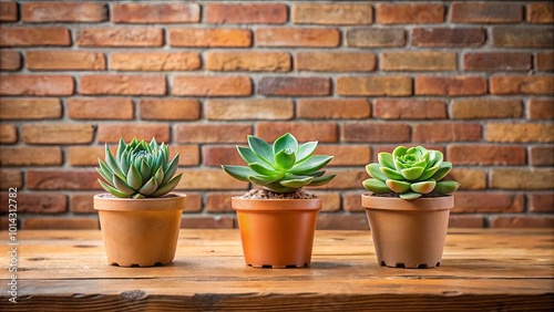 Succulents in Terracotta Pots Arranged in a Row on a Rustic Wooden Table Against a Brick Wall