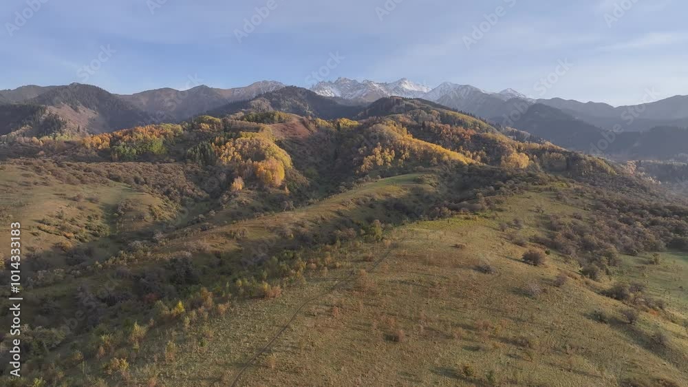 Picturesque slopes of the Trans-Ili Alatau mountains covered with yellow trees and fir trees in the south-east of Kazakhstan on an autumn evening Picturesque slopes of the Trans-Ili Alatau mountains covered with yellow trees and fir trees in the south-east of Kazakhstan on an autumn evening
