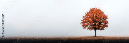 A lone tree in the middle of a foggy field, its vibrant autumn leaves standing out against the muted colors of the overcast sky photo