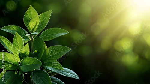 Softfocus image of herbs growing in wild nature, sunlight filtering through, wild herbs, natural purity and healing power, 3D illustration