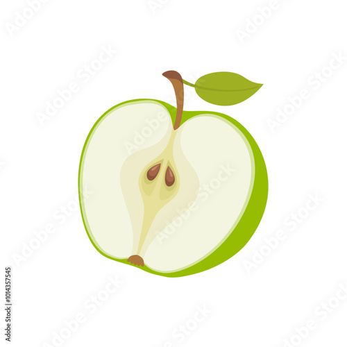 Green apple cut in half. Vector cartoon flat illustration of fresh fruit. 