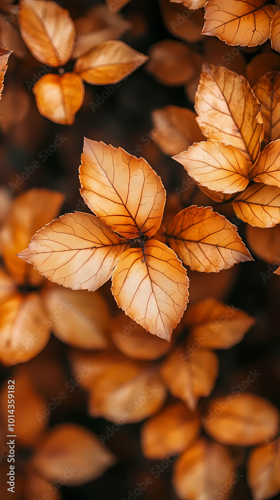Brown plant leaves in autumn season, brown background Brown plant leaves in autumn season, brown background