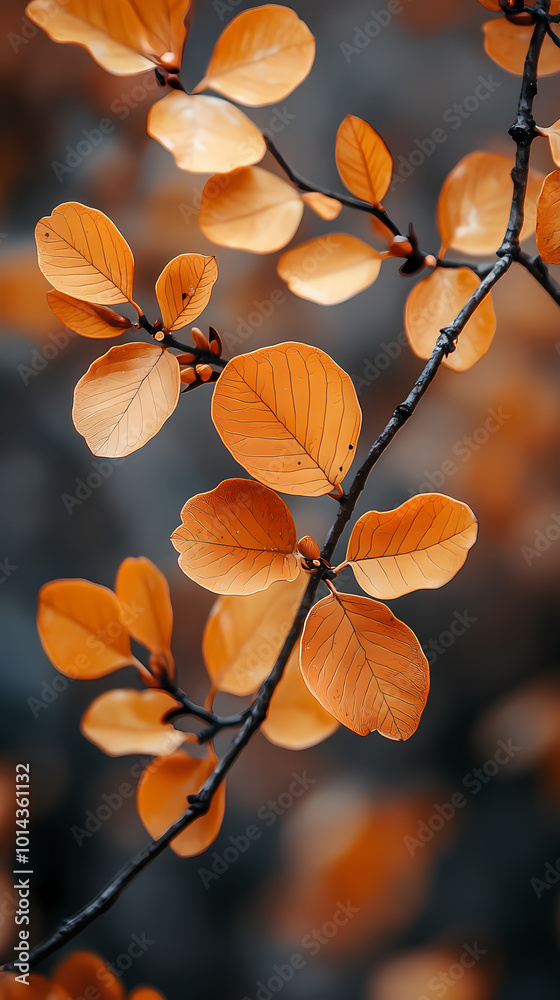 Brown plant leaves in autumn season, brown background Brown plant leaves in autumn season, brown background