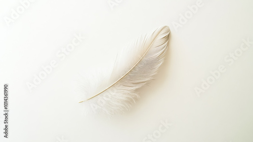 Single white feather lying on a blank background