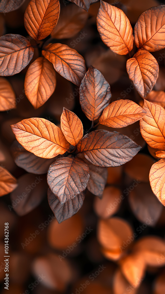 Fototapeta premium Brown plant leaves in autumn season, brown background