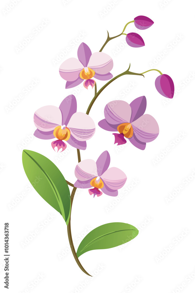 Fototapeta premium Orchid Branch With Flowers Vector Illustration On White Background