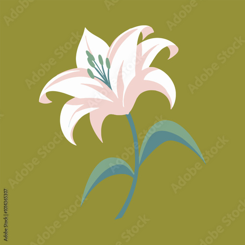 Delicate Pink Lily, The soft blush of the pink lily’s petals evokes tenderness and romance, vector art illustration