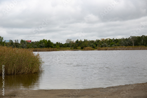 A lake with reeds in the Victory Park in Omsk in summer