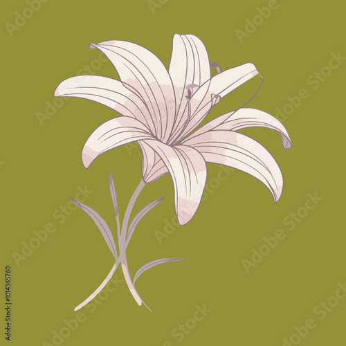 Pure White Lily, A symbol of purity and innocence, the white lily’s smooth, unblemished petals exude elegance, vector art illustration