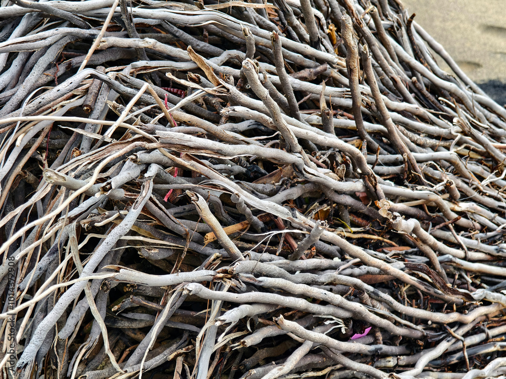 large pile consisting of branches and twigs located on the beach large pile consisting of branches and twigs located on the beach