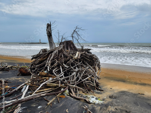 A tree stump is currently laying on the beach close to the ocean