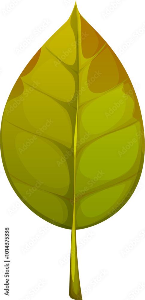 Cartoon autumn green leaf with subtle brownish autumnal shades at the edges and smooth, symmetrical shape with visible veins. Isolated vector tree foliage, natural element of forest, garden vegetation Cartoon autumn green leaf with subtle brownish autumnal shades at the edges and smooth, symmetrical shape with visible veins. Isolated vector tree foliage, natural element of forest, garden vegetation