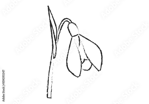 Campanilla de flor dibujada con trazo negro dibujado con lápiz