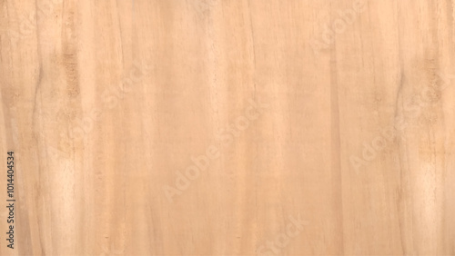Natural Wood rough Texture playwood