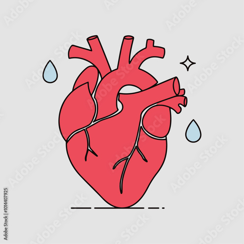 Hand-Drawn Illustration of the Human Internal Organ Heart, human heart outline stroke drawing for surgery, kids drawing book, heart anatomy, biology, zology