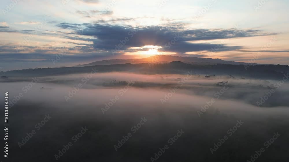 Drone view dramatic sunrise behind the hills with morning mist and above the forest and trees Drone view dramatic sunrise behind the hills with morning mist and above the forest and trees