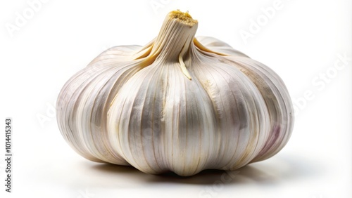 Fresh garlic isolated against a white backdrop, excellent for culinary applications, boosting health benefits, and