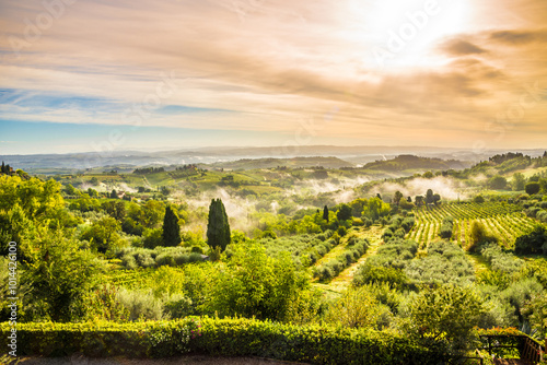 Foto Morning in the nature near of San Gimignano - Italy,Tuscany