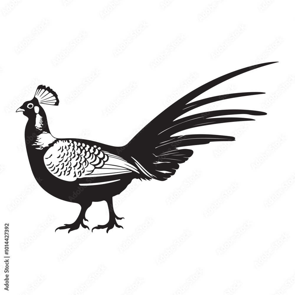 Obraz premium pheasant bird vector art illustration