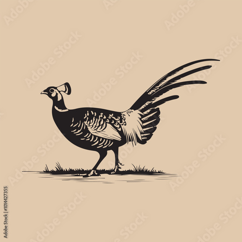 pheasant bird vector art illustration