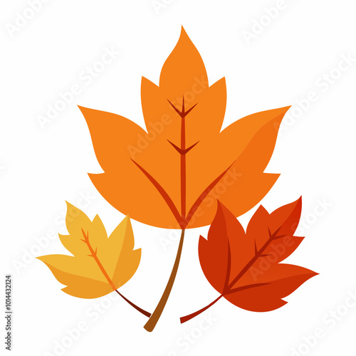 autumn leaves isolated on white