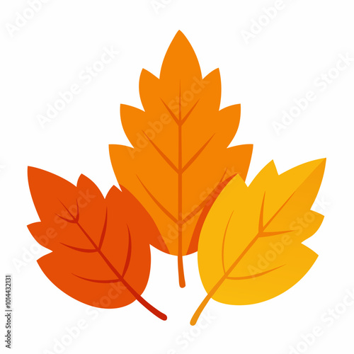 autumn leaves isolated on white