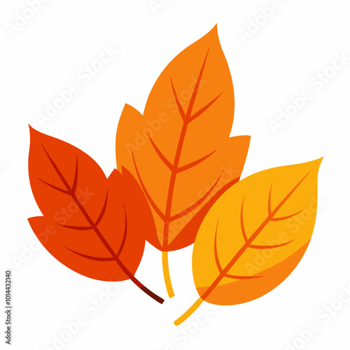 autumn leaves isolated on white