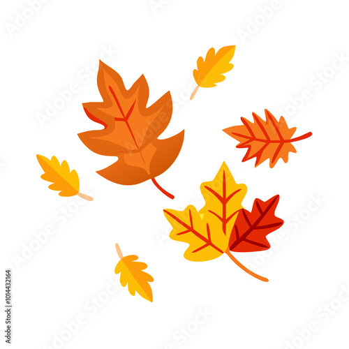 autumn leaves isolated on white