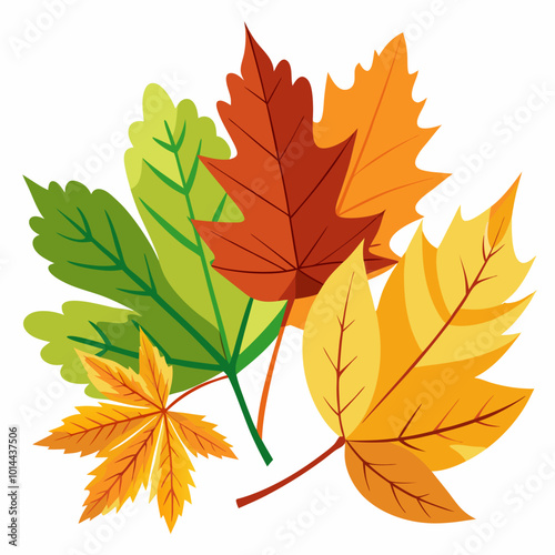 autumn leaves isolated on white