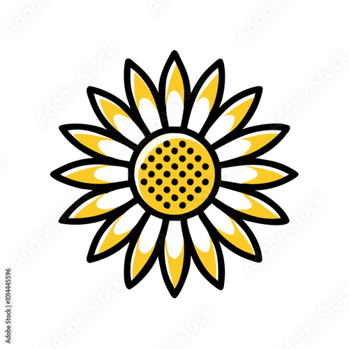 sunflower on white
