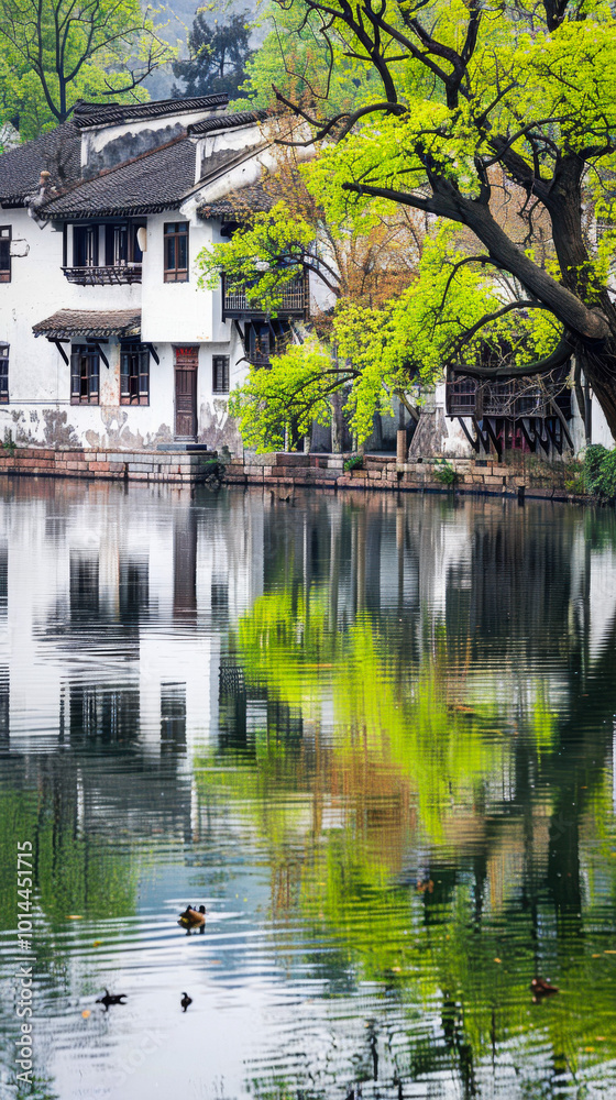 Tranquil Jiangnan Landscape - Lower Yangtze River Streams Tranquil Jiangnan Landscape - Lower Yangtze River Streams