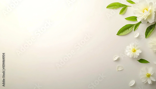 White flowers with green leaves on a soft background.