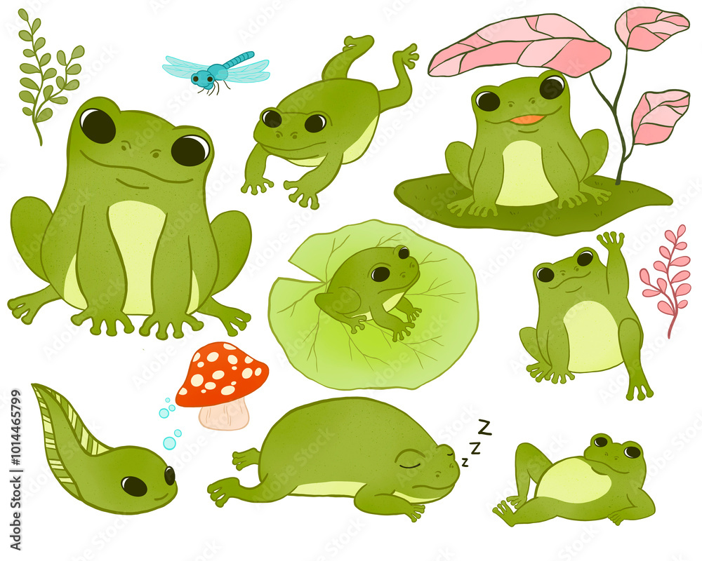 set of cartoon frogs set of cartoon frogs