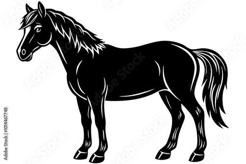  Cute Handsome Horse silhouette minimalistic vector art illustration  photo