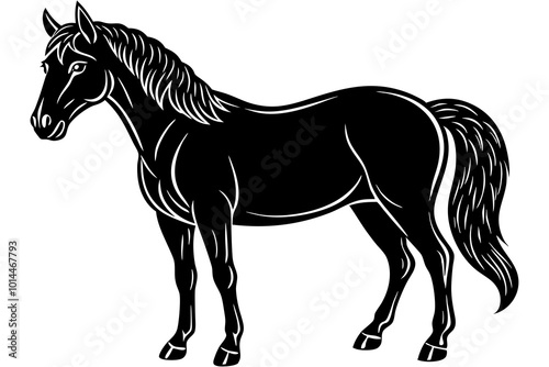  Cute Handsome Horse silhouette minimalistic vector art illustration  photo