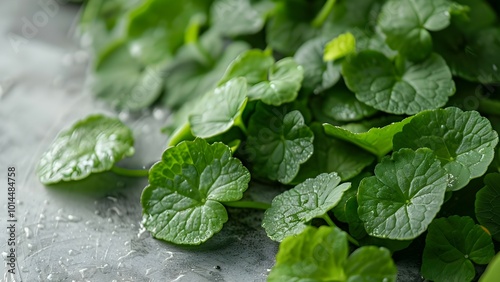 close up of centella asiatica on white background