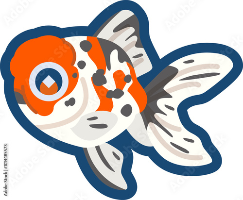 かわいい金魚（東錦）のイラスト