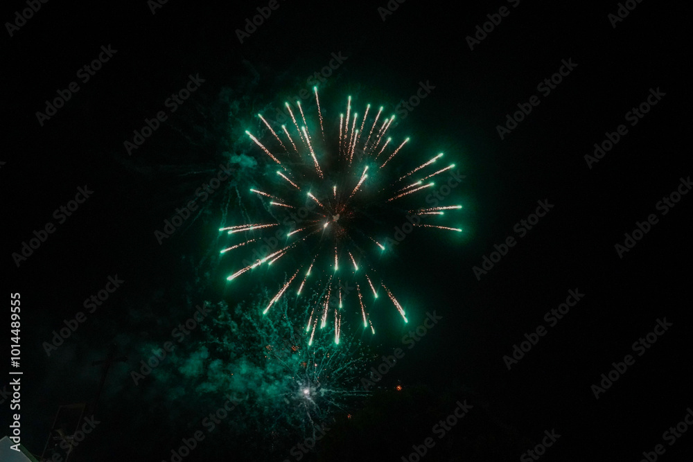 Fireworks, on a dark night, with their palm trees and colors, illuminate the darkness, give brightness and distraction to the audience, at the end of the festivities of a small town Fireworks, on a dark night, with their palm trees and colors, illuminate the darkness, give brightness and distraction to the audience, at the end of the festivities of a small town