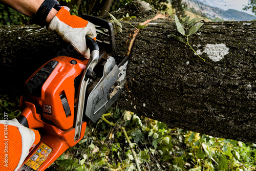 Wallpaper Mural Forstarbeiten mit Kettensäge Torontodigital.ca