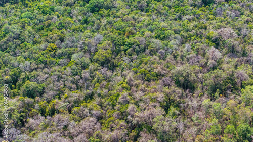 Aerial view Phuoc Buu Nature Reserve at Ba Ria Vung Tau. Concept travel trip in Vietnam nature beautiful landmark. photo