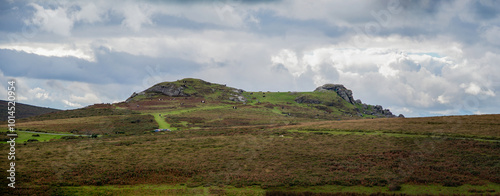 Saddle tor rock on Dartmoor in England. Panoramic picture showing the granite landmark taken in the Dartmoor National park.  photo