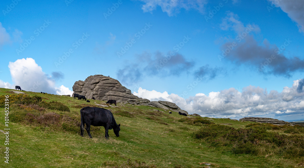 Haytor rock on Dartmoor in England. Panoramic picture showing the granite landmark with a man sat on top of the rock. Haytor rock on Dartmoor in England. Panoramic picture showing the granite landmark with a man sat on top of the rock.