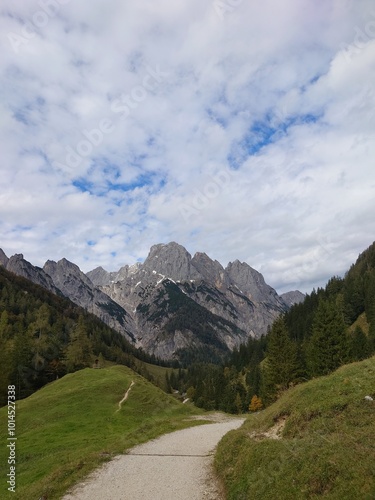 Auf der Alm photo